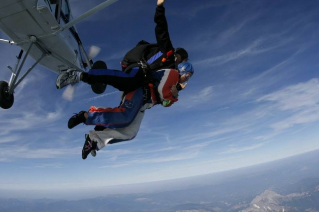  Free fall 